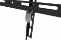 Digitus Universal Wall Mount For Monitors 1x LCD 32-55''
